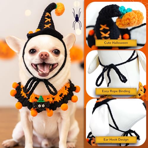 Disfraz de Halloween para perros pequeños Petcare miniatura 4