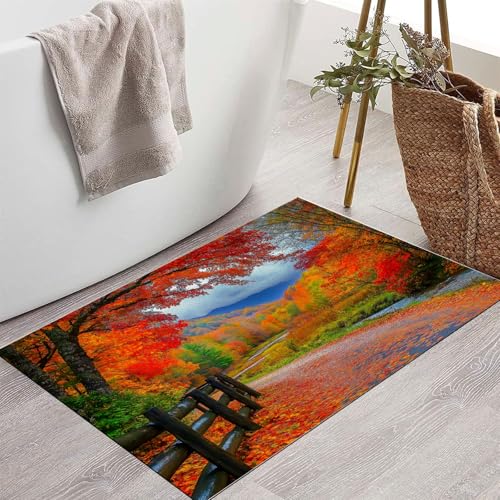 Tapis lavable résistant de qualité supérieure pour entrée de maison - 4