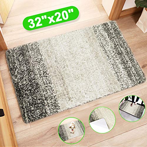 Indoor Doormat Front Door Mat, Super Absorbent Entrance Door Rug, Non Slip Back