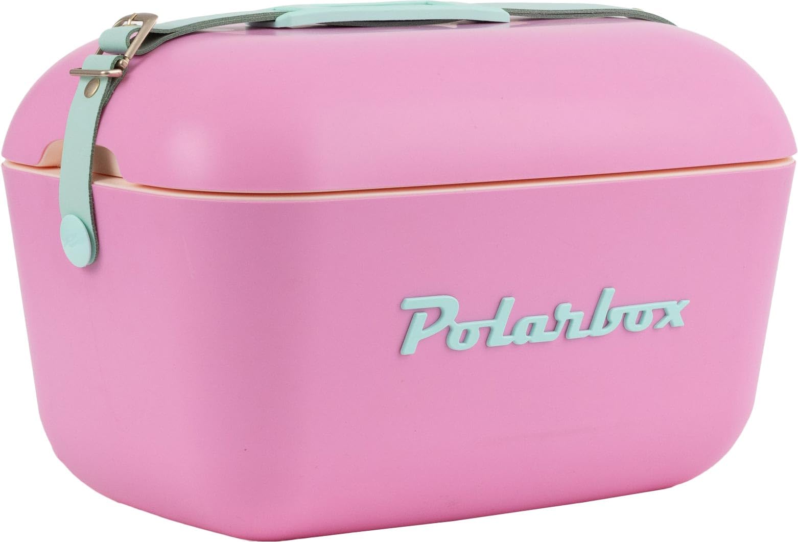 Polarbox Nevera de 20 L, caja de hielo, nevera grande, para picnic, playa, camping, jardín, caja de almacenamiento fresca, color rosa chicle, cian pop