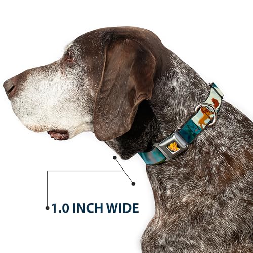 Gros collier de chien Buckle Down Simba2 avec boucle haute sécurité - 7
