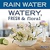 MRS-MEYERS-CLEAN-DAY-Moisturizing-Body-Wash-for-Women-and-Men-Cruelty-Free-and-Biodegradable-Shower-Gel-Made-with-Essential-Oils-Rain-Water-Scent-16-oz-Bottle-Pack-of-3 Mrs. Meyer's Moisturizing Body Wash for Women and Men, Biodegradable Shower Gel Formula Made with Essential Oils, Rain Water, 16 oz Bottle, Pack of 3