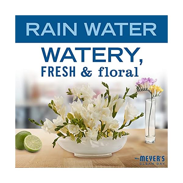 MRS-MEYERS-CLEAN-DAY-Moisturizing-Body-Wash-for-Women-and-Men-Cruelty-Free-and-Biodegradable-Shower-Gel-Made-with-Essential-Oils-Rain-Water-Scent-16-oz-Bottle-Pack-of-3 Mrs. Meyer's Moisturizing Body Wash for Women and Men, Biodegradable Shower Gel Formula Made with Essential Oils, Rain Water, 16 oz Bottle, Pack of 3