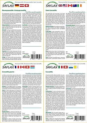 SAFLAX - Granadilla - 12 semi - Passiflora