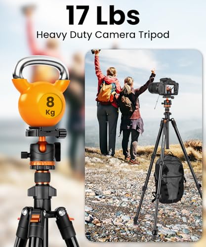 JOILCAN Camera Tripod for DSLR, 66Inch/168cm Lightweight Aluminium Travel Tripod with Ball Head 360° & Phone Holder Cold Shoe, Heavy Duty Camera Stand for Canon, Sony, Nikon, Smartphones, Max Load 8kg - Image 2