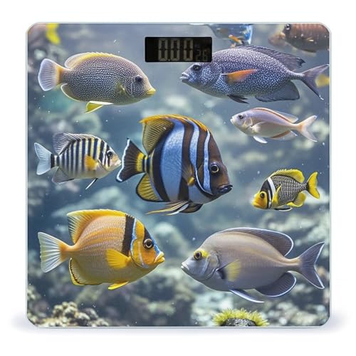 Báscula digital Different Fish con vidrio templado y pantalla LCD miniatura 1