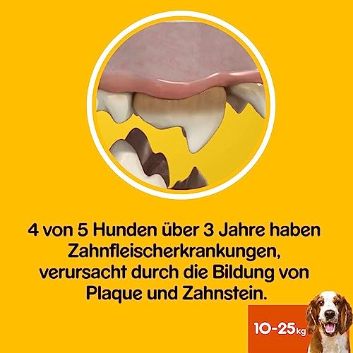 Pedigree DentaStix Advance Hundesnacks 2 x Wöchentlich, 9 x 80 g, 1 Stück (9er Pack)