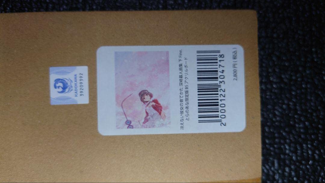 Amazon.co.jp: 冴えない彼女の育てかた 深崎暮人画集 下 Fine. b5 