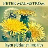 makroskopisch  Ingen plockar en maskros