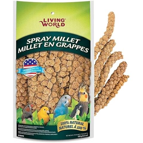 Living World Millet Spray for Birds Cover