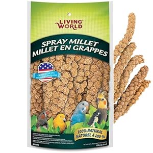 Living World – Millet Spray for Birds, 3.5 Oz – Premium Treat for Budgies, Canaries, Finches, Cockatiels and Other Pet Birds