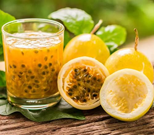 120+ Passion Fruit Seeds For Planting #TOP2
