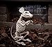 Crazy Bonez Skeleton Rat