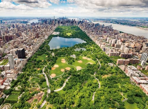 Puzzle 500 pièces : Vue sur Central Park Ravensburger Nathan - vue 4