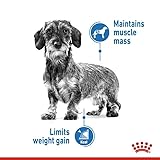 Royal Canin Light Weight Care X-SMALL | 1,5 kg | Alleinfuttermittel für ausgewachsene sehr kleine Hunde ab dem 10. Lebensmonat | Für Hunde mit Neigung zur Gewichtszunahme