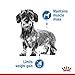 Royal Canin Light Weight Care X-SMALL | 1,5 kg | Alleinfuttermittel für ausgewachsene sehr kleine Hunde ab dem 10. Lebensmonat | Für Hunde mit Neigung zur Gewichtszunahme