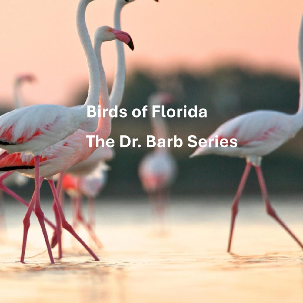 Birds of Florida: Dr. Barb Series