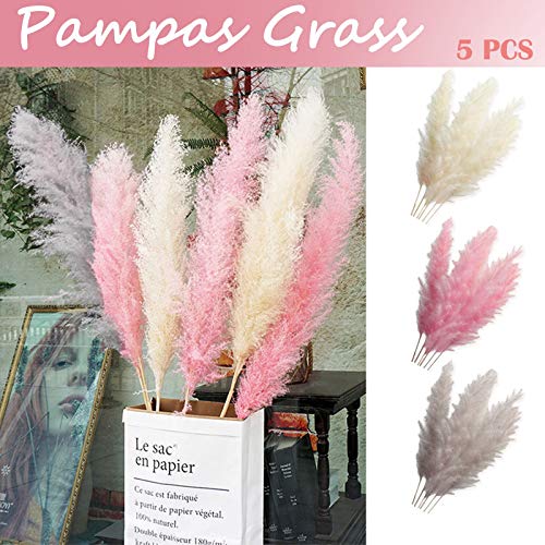 Pampas Grass, 5Pcs Natural Dried Flowers Phragmites Bouquet Artificial Flowers for DIY Home Kitchen Wedding Table Floral Arrangements Vase Decor (B)