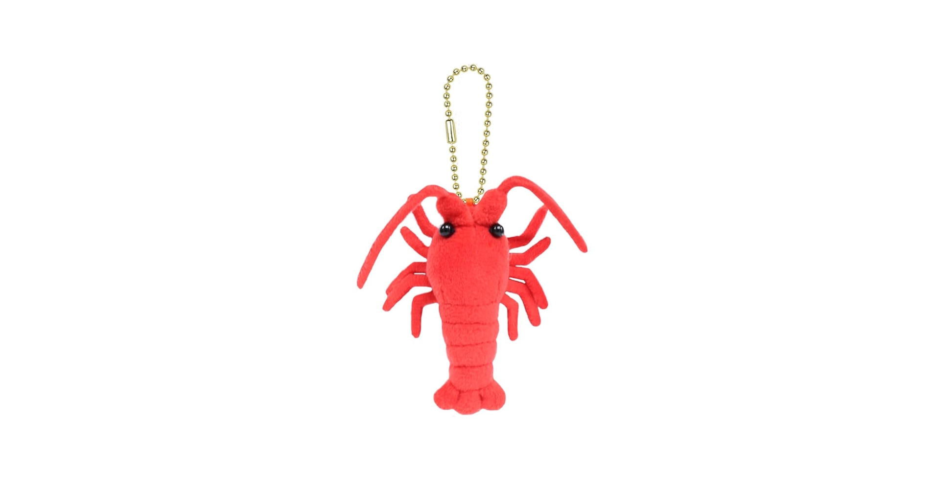 51OtZpvAhSL.jpg_BO30,255,255,