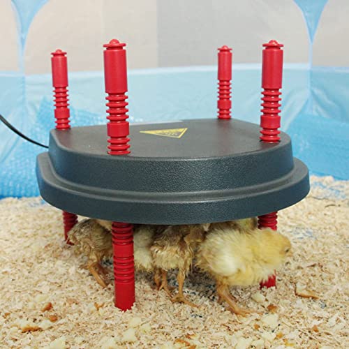 Taixinpower Chick Brooder Kit Wärmeplatte, Ersatz Wärme Lampe für Hühnerstall, Höhenverstellung für 15-20 Hühner/Enten… – Bild 7