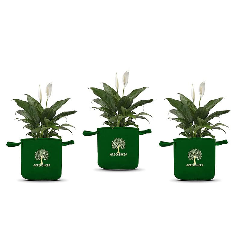 See full amazon price history chart for GREENSHEEP Geo Fabric Grow Bags for Terrace Gardening, Balcony, Vegetables, Plants, Fruits and Flower with Handles - Breathable and Reusable Plant Bags for Indoor (Green) (Pack of 3) (Size-24x24) GREENSHEEP Geo Fabric Grow Bags for Terrace Gardening, Balcony, Vegetables, Plants, Fruits and Flower with Handles - Breathable and Reusable Plant Bags for Indoor (Green) (Pack of 3) (Size-24x24) (B0BS412NDQ) Amazon Price History, Amazon Price Tracker