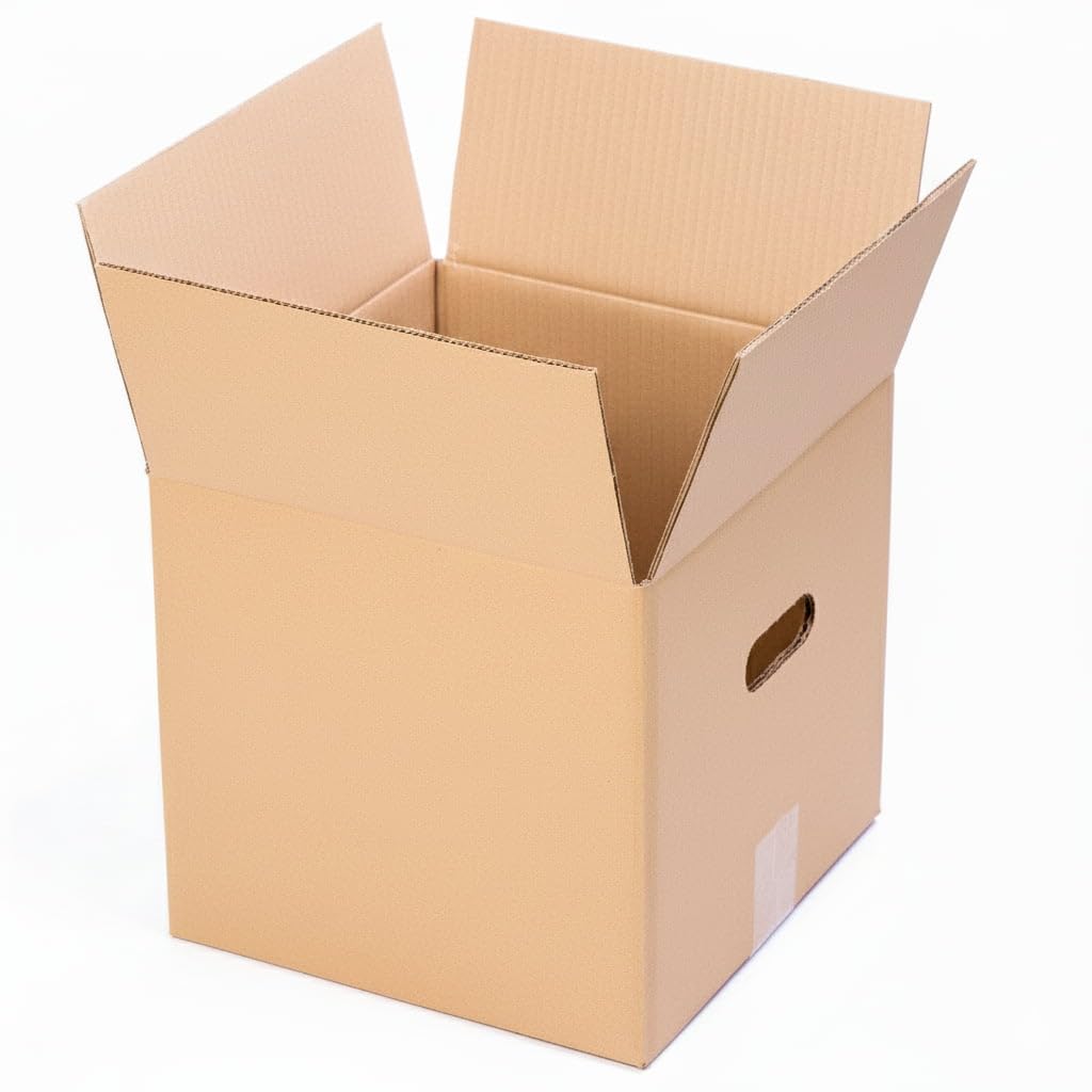 Telecajas | 10 cajas 31 x 31 x 31 cm | Cajas de cartón robustas con asas para mudanza o envío | Ideal para platos, sombreros y revistas | Pack de 10