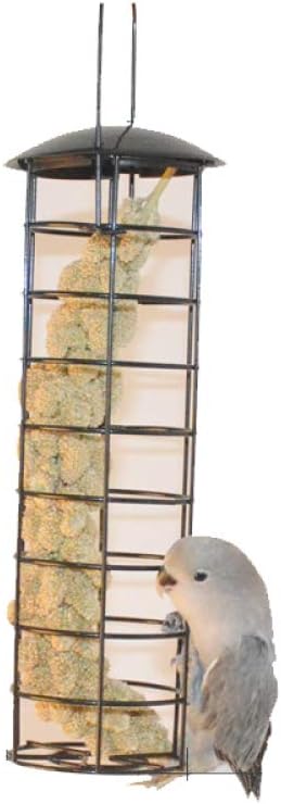 Alimentatori per arachidi a prova di scoiattolo