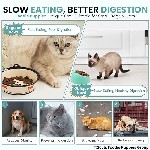 Image of Foodie Puppies Tilted Pet Feeding Bowl for Cats & Small Dogs - 350ml | Raised Oblique Design with Stainless Steel Inner Bowl, Ergonomic Food & Water Bowl | Comfortable Eating Position