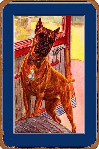 Be[W uL Ŕ pvg{NT[qqBe[WvgA[g摜w/{[_[ Be[W uL Ŕ AJ W 20X30cm