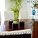 SEEKO Artificial Succulents 3 Pack Faux Potted Plant Decor - Realistic Faux Succulents Perfect Small Desk Plant, Home Office, Kitchen, Book Shelf, or Bathroom Decor (Matte Black Pot)