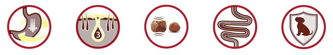 Purina ONE Mini <10kg pienso perro pequeño Sensible Salmón 6x1,5 kg