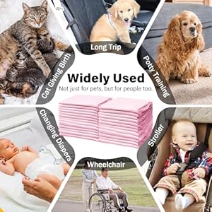 Basics Dog and Puppy Pee Pads with 4layer Leakproof and Quickdry Design for Potty Training 13 X 17 Ultra Absorbent Disposable Changing Pads for Small Pets pink50 Count  Cucciolini Doodles Basics dog and puppy pee pads with 4 layer leak proof and quick dry design for potty training 13 x 17 ultra absorbent disposable changing pads for small pets  pink50 count   cucciolini doodles
