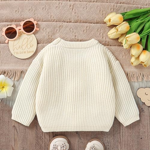 Baby Girl Boy Cute Ghost Embroidery Long Sleeve Oversized Sweater Infant Newborn Fall Winter Outfit Clothes4