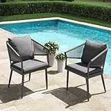 LayinSun Outdoor Dining Chairs Set of 2, 2 Pieces All-Weather Wicker Patio Chair for Patio, Deck, Porch with Soft Cushions and Armrests