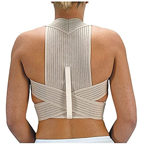 Emo espec.medico-ortop.sl QO-00221/03 - Espaldillera emo pl210 transp. Al. T/3 (l) Cover