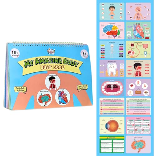 Image of My Amazing Body Busy Book for Kids (Ages 3-8 Years) Montessori Human Anatomy Activity Binder | Reusable Preschool Science Learning Toy