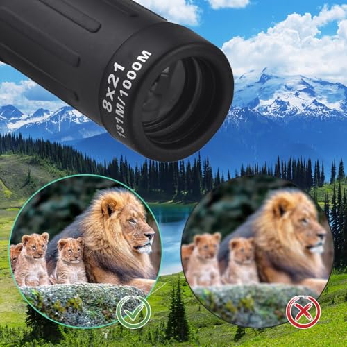Monoculaire portable 8X Joyzan compact grand angle pour observation de la faune - 3