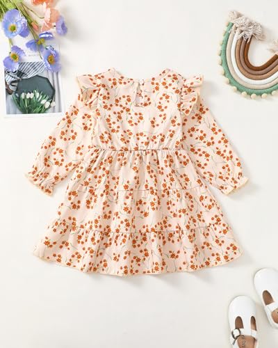 Toddler Girl Dress Clothes Ruffle Long Sleeve Casual Dress Floral Boho Outfits Cute Winter Fall Girls Dresses4