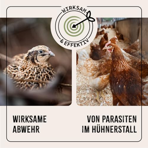 AniForte Milbenspray Hühner & Geflügel 1Liter - gegen Milben & Parasiten, Milben Stop, Milbenmittel als Umgebungsspray & Kontaktspray, zur Vorbeugung & bei akutem Befall