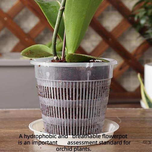 KADAX Vaso Da Fiori Copertura Per Orchidee Supporto Per Fiori Piante In Plastica 12 Cm Verde 83766083
