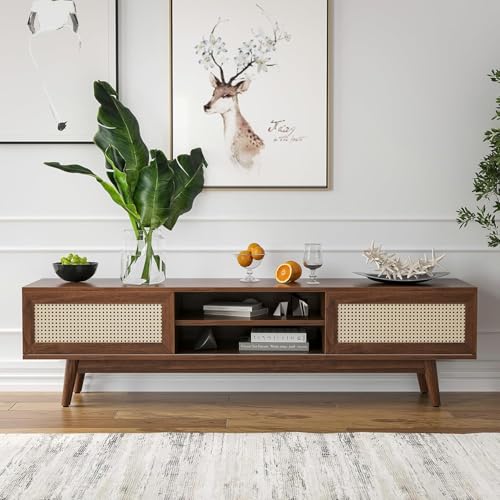 Image of Space Galaxy Sheesham Wood TV Unit Stand for Living Room | Wooden Entertainment Console Cabinet with 2 Rattan Cane Doors & Shelf Storage | Free Standing TV Table for Home, Walnut (63x15.6x18 Inch)