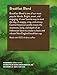 Green Mountain Coffee Roasters Breakfast Blend Single-Serve Keurig K-Cup Pods, Light Roast Coffee, 12 Count