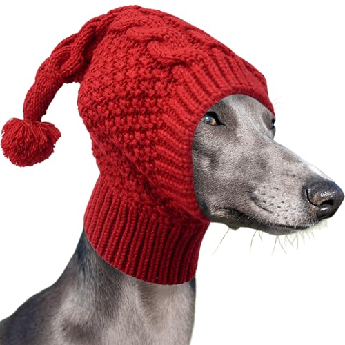 IUOUTG ̕҂ݓ~̖XqAC^ÃOCnEh̖̉XqAȒx̑傫ȕĩ||Ɩʔybg|Lbv