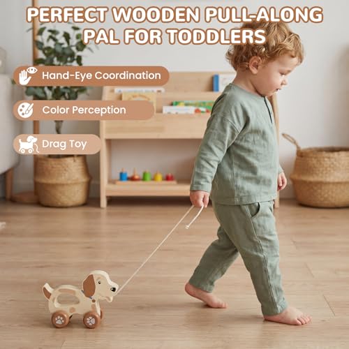 Image of Baby Toys Car,Wooden Pull Along Toddler Toy, Developmental Toy for 1 Year Old Girl Boy Birthday Gift (Cute Dog)