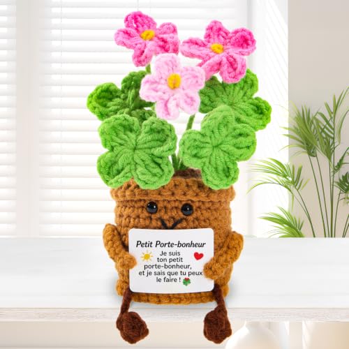 Yiminu.DS GIF-XYH-guli Cadeau Femme Homme, Crochet Porte-Bonheur Original personnalisé pour collegue de Travail Femme, Meilleure Amie, Soeur Amie, Idées Cadeaux positives pour Noël