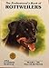 The Professional's Book of Rottweilers (Professional Book of Series)