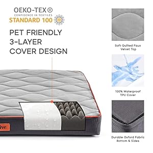 Medium Waterproof Orthopedic Egg Crate Foam Dog&Cat Beds Supportive Dog Bed Matt for Small Dogs Removable Washable Cover Oxford Fabric Bottom & Quilted Velvet Top, Suitable up to 50lbs