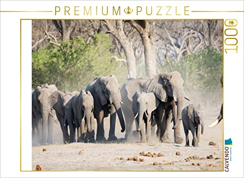 - Puzzle Multicolore 1000 Teile 4066851081861