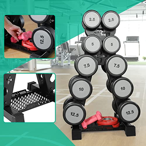 Brtgym Dumbbells Rack Weight Stand (Rack Only), 13Ga Steel Constructed,Max Support 570Lbs,5 - Tier Compact Design 16.3"L X 15.6"W X 32"H #TOP2