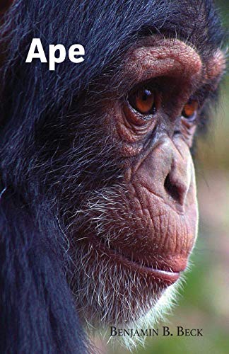 Ape 1628060808 Book Cover